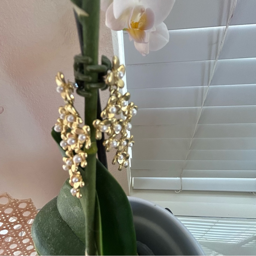 Women’s Gold And Pearl Earrings